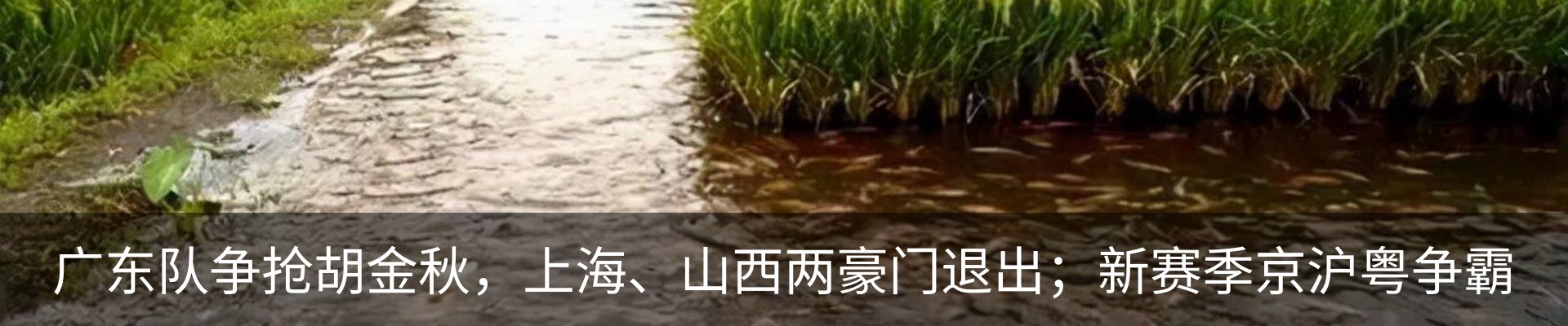 新闻中心